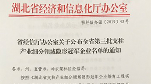 乐鱼·体育-乐鱼(中国)一站式服务官方网站
被认定为“湖北省支柱产业细分领域隐形冠军示范企业”